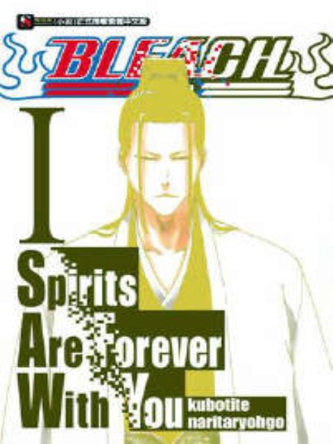 Bleach Spirits Are Forever With You BLEACH Spirits Are Forever With You(死神外传小说)小说在线|经典动漫同人小说|畅读书城