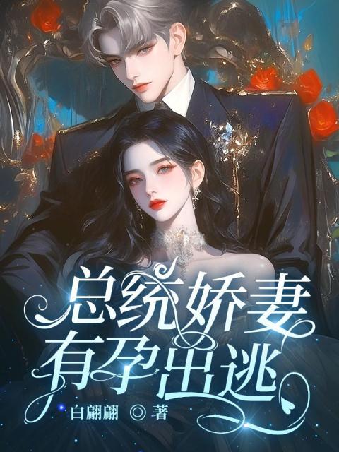 总统娇妻，有孕出逃