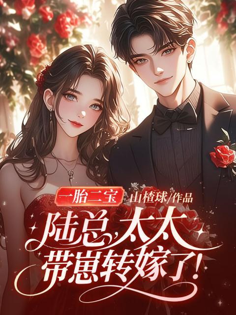 一胎二宝：陆总，太太带崽转嫁了！