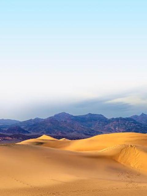 挺孕肚转嫁大佬，重婚前夫悔疯了