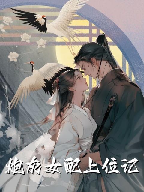 炮灰女配上位记